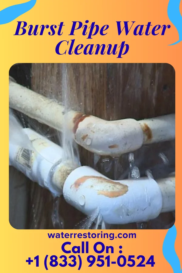 Burst Pipe Water Cleanup in Sandwich, IL