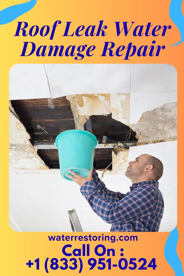 Roof Leak Water Damage Repair in Sandwich, IL