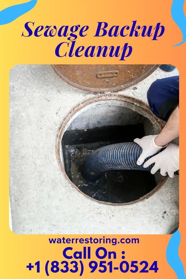 Sewage Backup Cleanup in Sandwich, IL