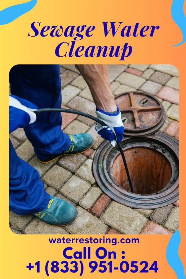 Sewage Water Cleanup in Sandwich, IL